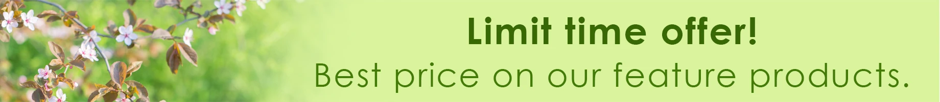 Limit time offer! Best price on our feature products.