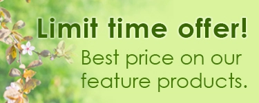 Limit time offer! Best price on our feature products.